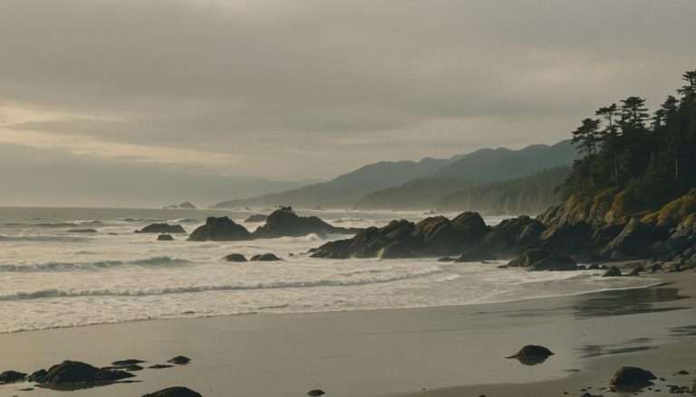 Où se trouve la plage de Tofino ? 1 Où se trouve la plage de Tofino ?