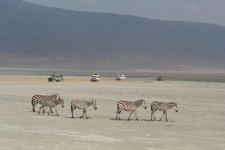 Voyage en Afrique du Sud : itinéraire pour vivreun road trip de rêve 16 IMG 0885